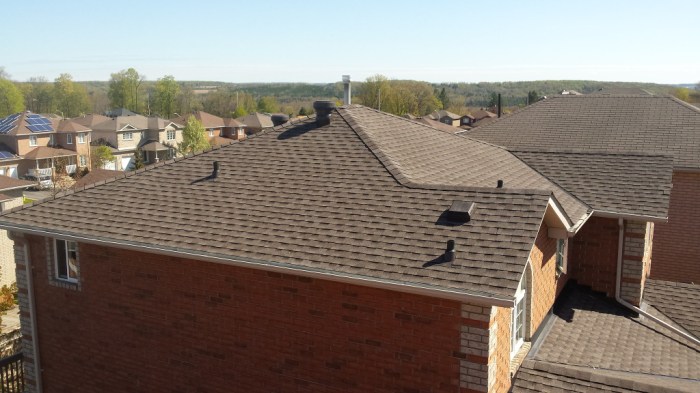 Outer shield roofing