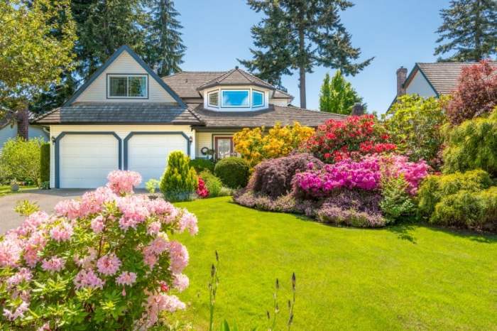 Backyard designers in my area