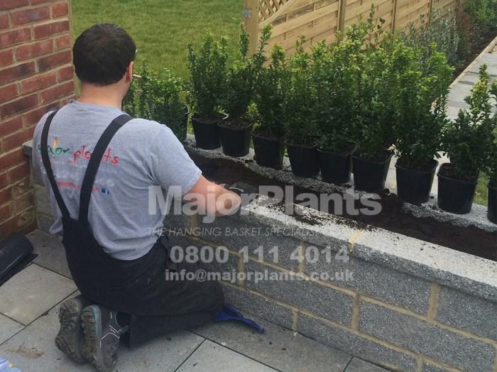 Exterior landscaping company