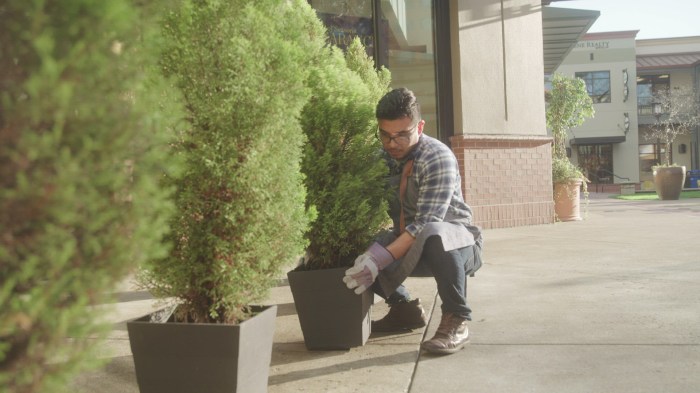 Outside landscape architects