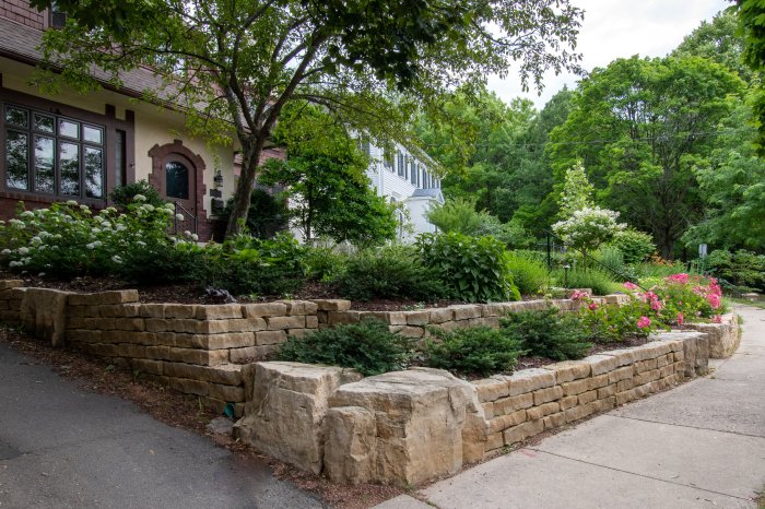 Backyard landscaping company near me