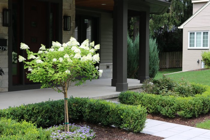 Outdoor space designer near me
