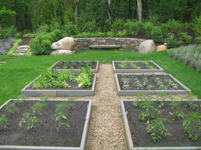 Landscape architect backyard