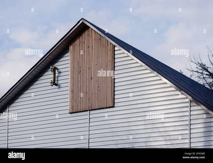 Modern exterior roofing
