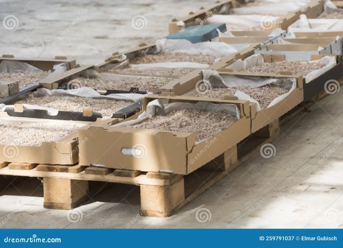 Exterior house sheathing